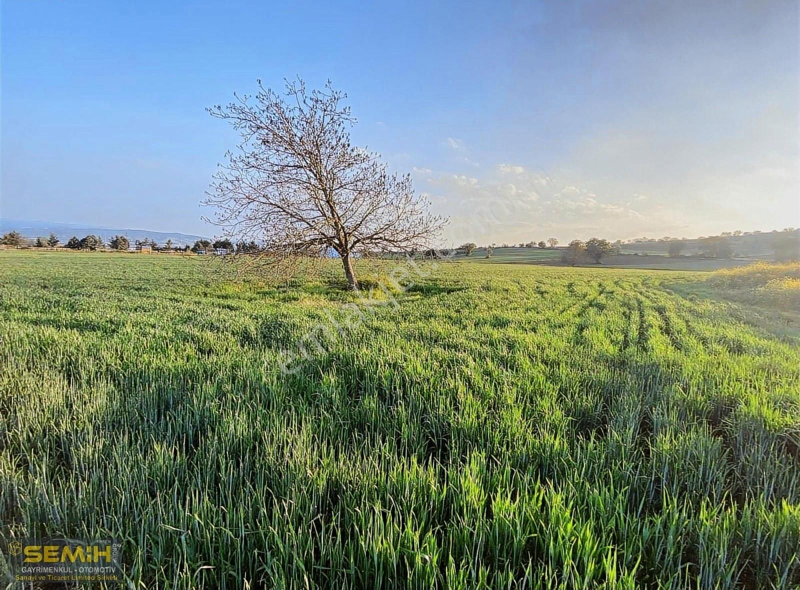 Semih'den İlk Konut İmarı Açılacak Bölgeye 1 Km Fırsat Emsalsiz - Görsel 12