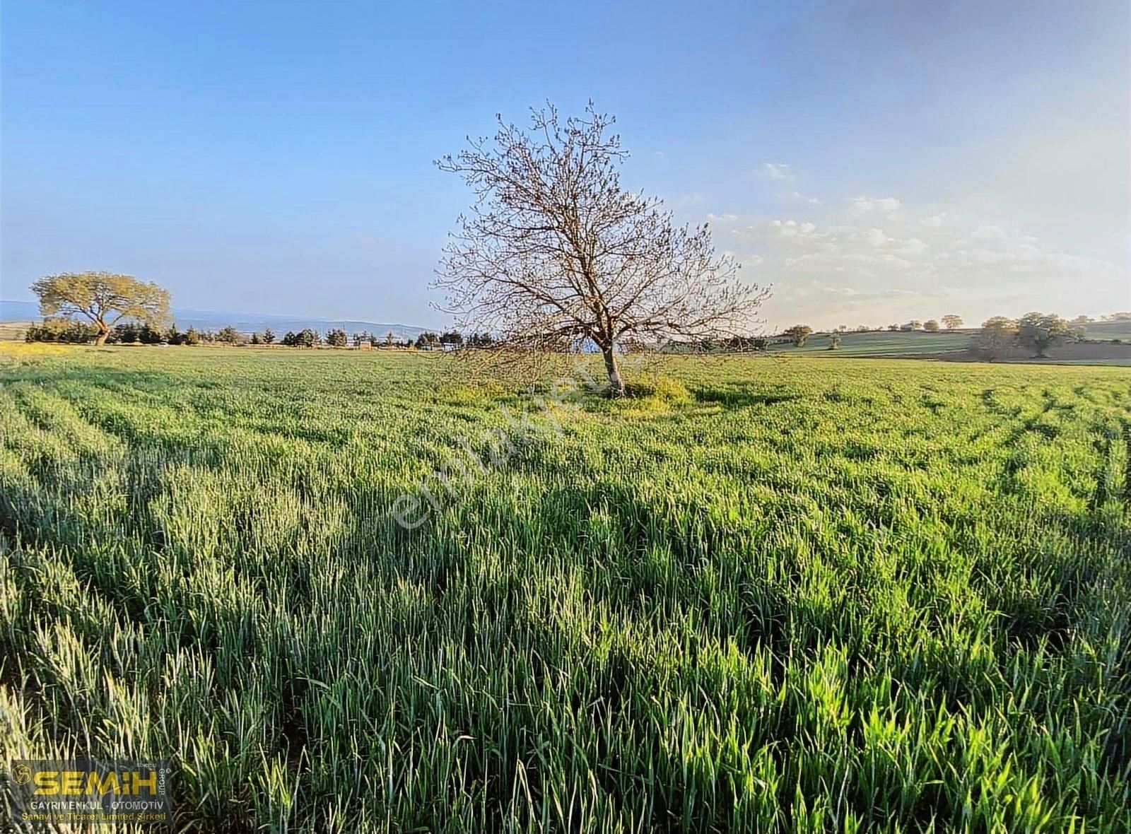 Semih'den İlk Konut İmarı Açılacak Bölgeye 1 Km Fırsat Emsalsiz - Görsel 29