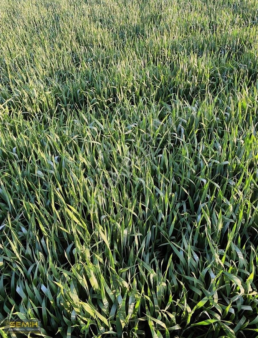 Semih'den İlk Konut İmarı Açılacak Bölgeye 1 Km Fırsat Emsalsiz - Görsel 4