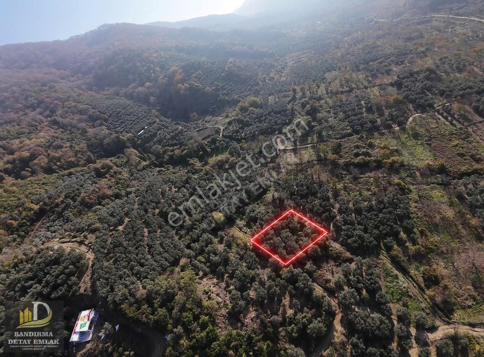 Detay Emlaktan Ballıpınar Mahallesinde Satılık 314m2 Zeytinlik ! - Görsel 4