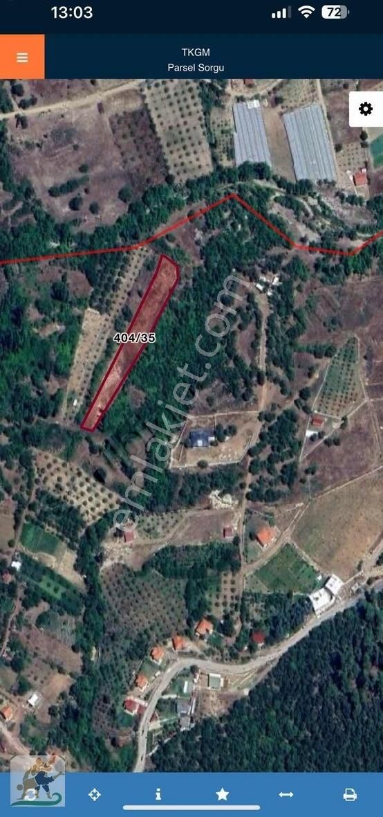 4006 M2 Tarla Yıllık Kiralıktır Tarım İçin Kullanılabilir
