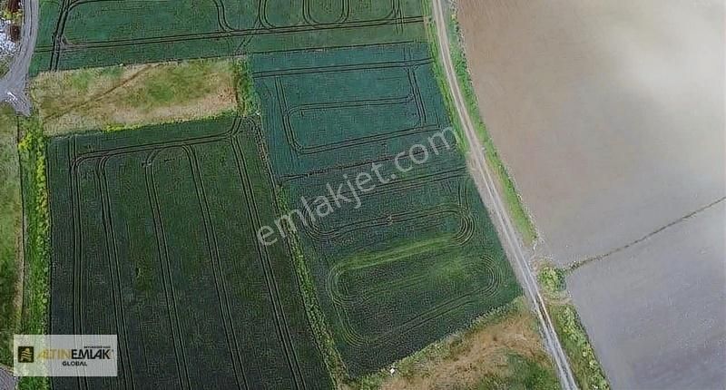 Çatalca Antrepolar Bölgesinde Fırsat İmarlı Arsa !!!!!! - Görsel 2