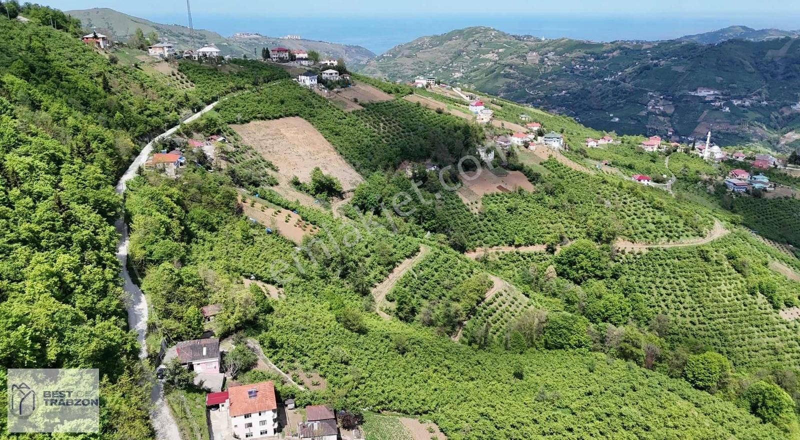 Best Of Trabzon-derecik Yolbaşı Satılık Arsa