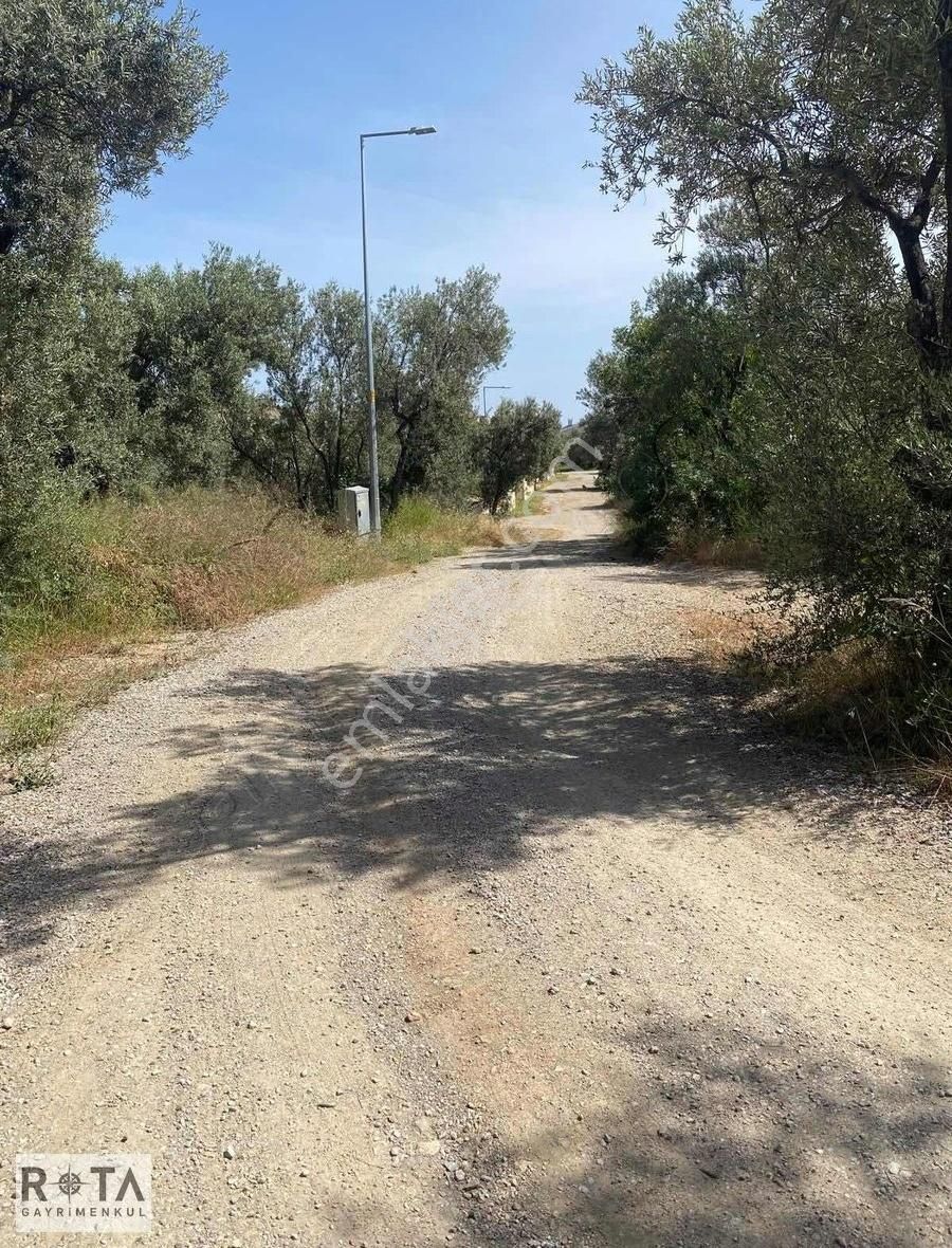 Altınoluk İmara Sıfır 78 M2 Zeytinlik-rota