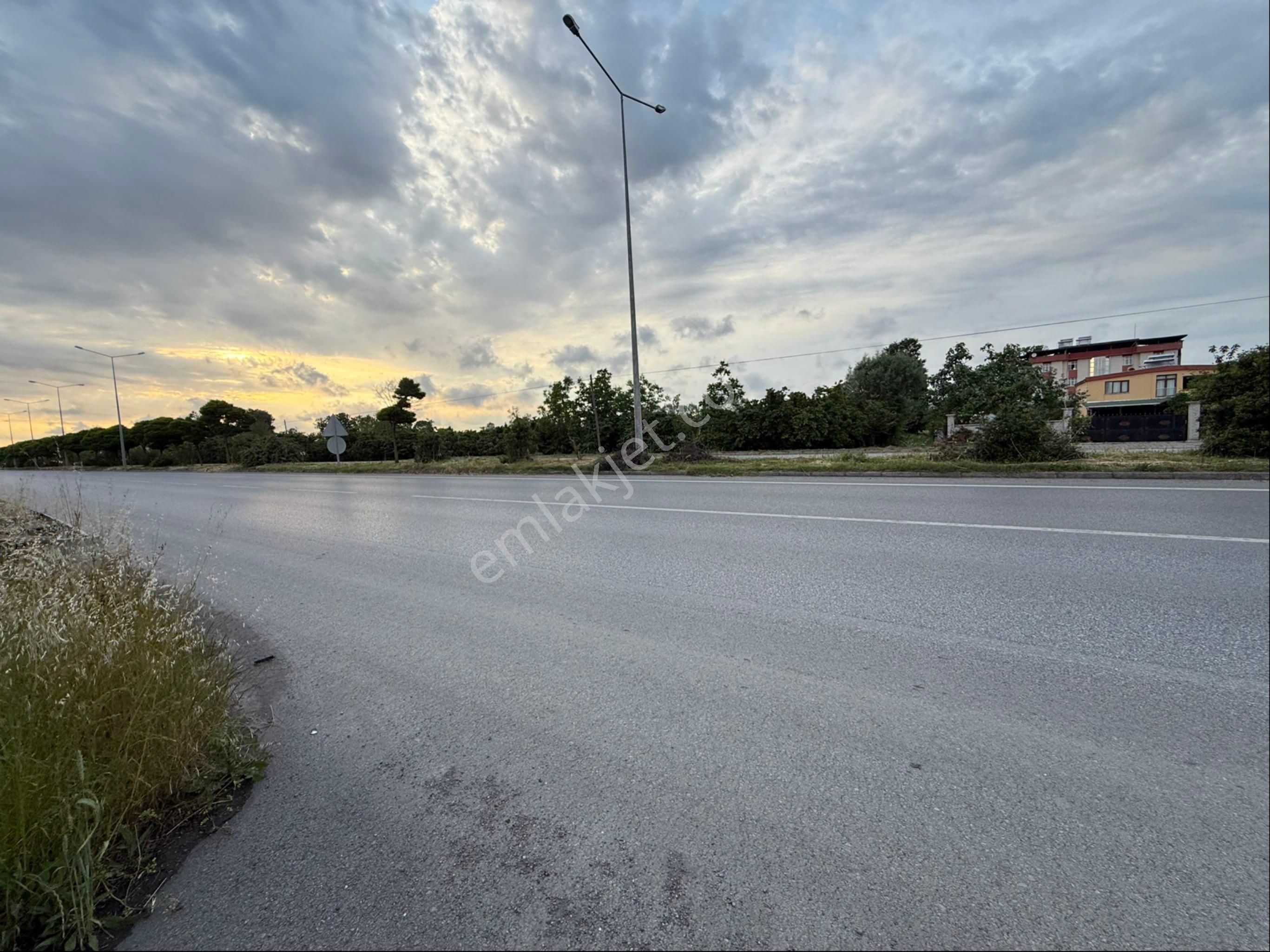 Alibey’den Terme Söğütlü Mah.de Satılık Fındık Bahçesi+ Ev