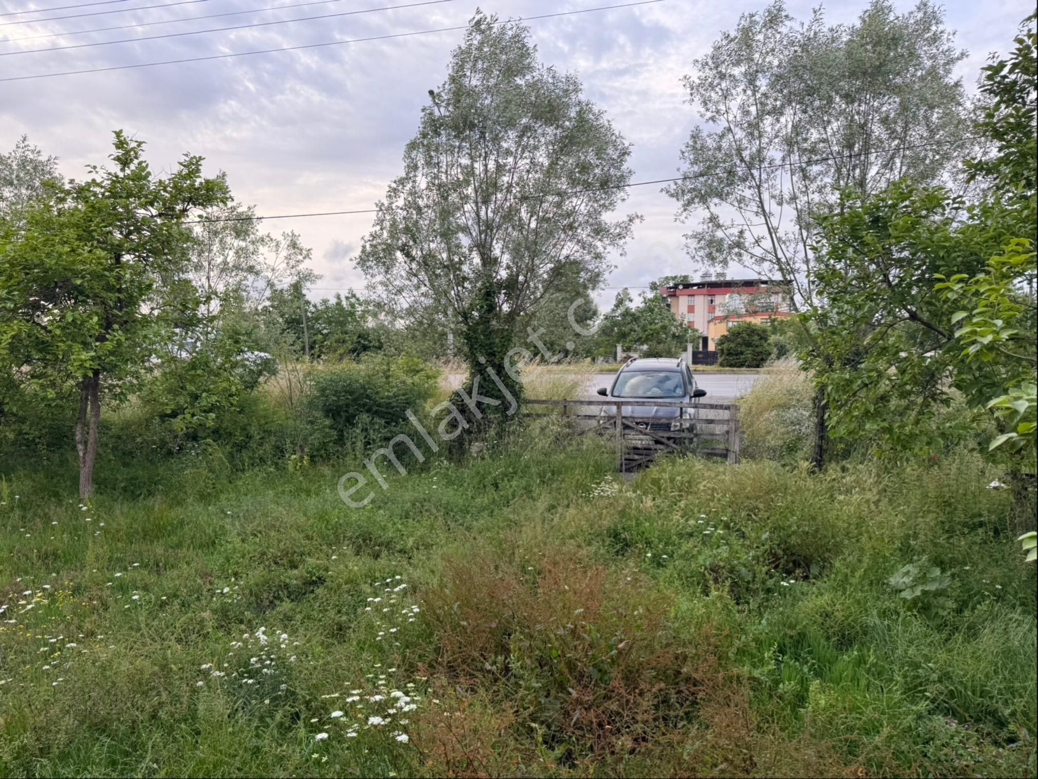 Alibey’den Terme Söğütlü Mah.de Satılık Fındık Bahçesi+ Ev - Görsel 19