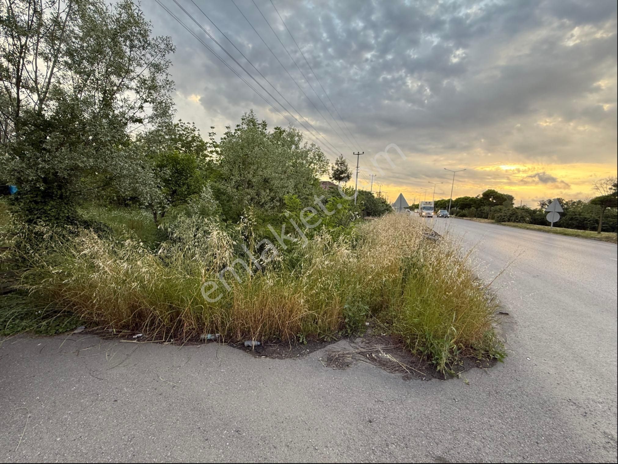 Alibey’den Terme Söğütlü Mah.de Satılık Fındık Bahçesi+ Ev - Görsel 3