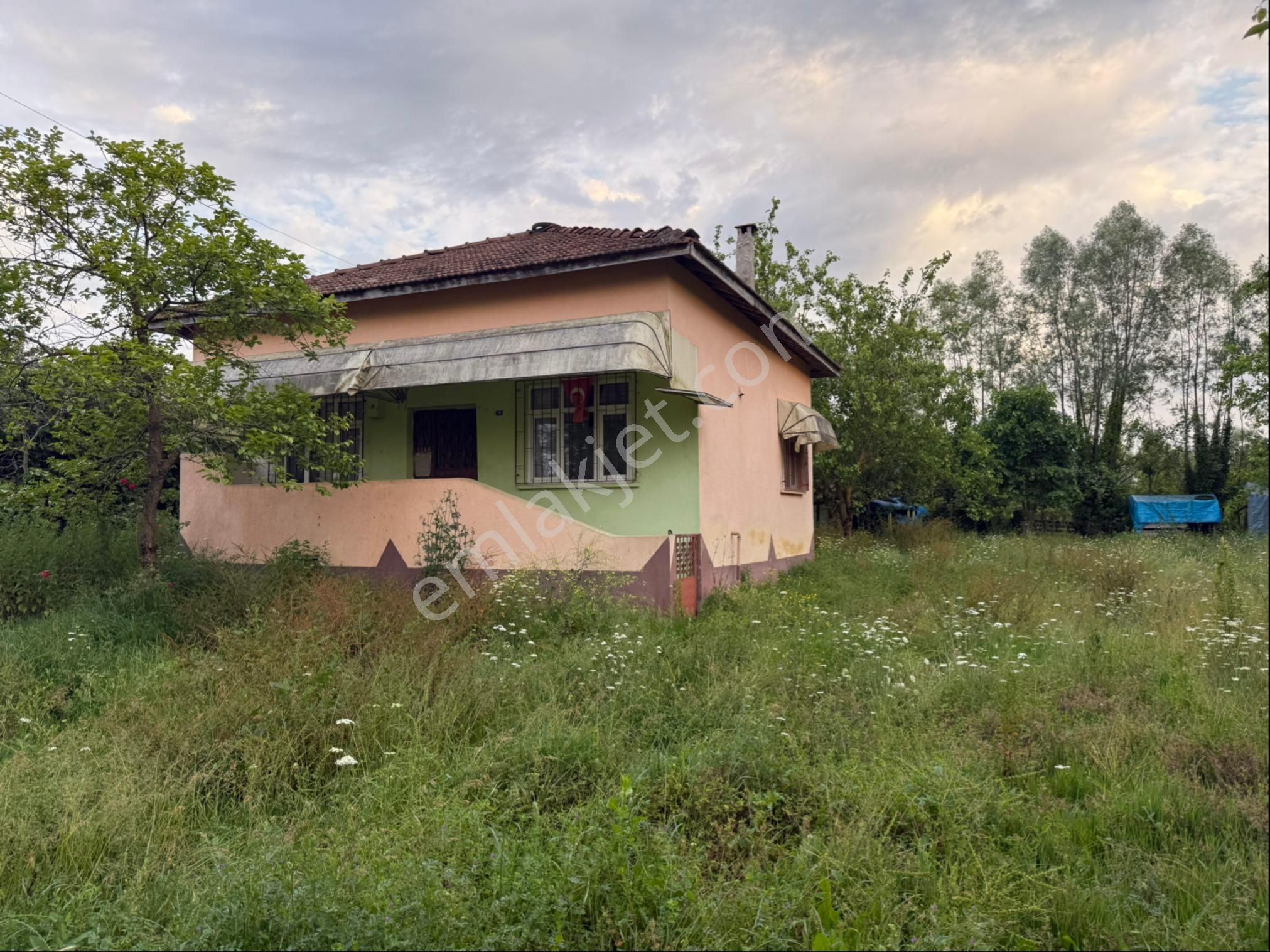 Alibey’den Terme Söğütlü Mah.de Satılık Fındık Bahçesi+ Ev - Görsel 11