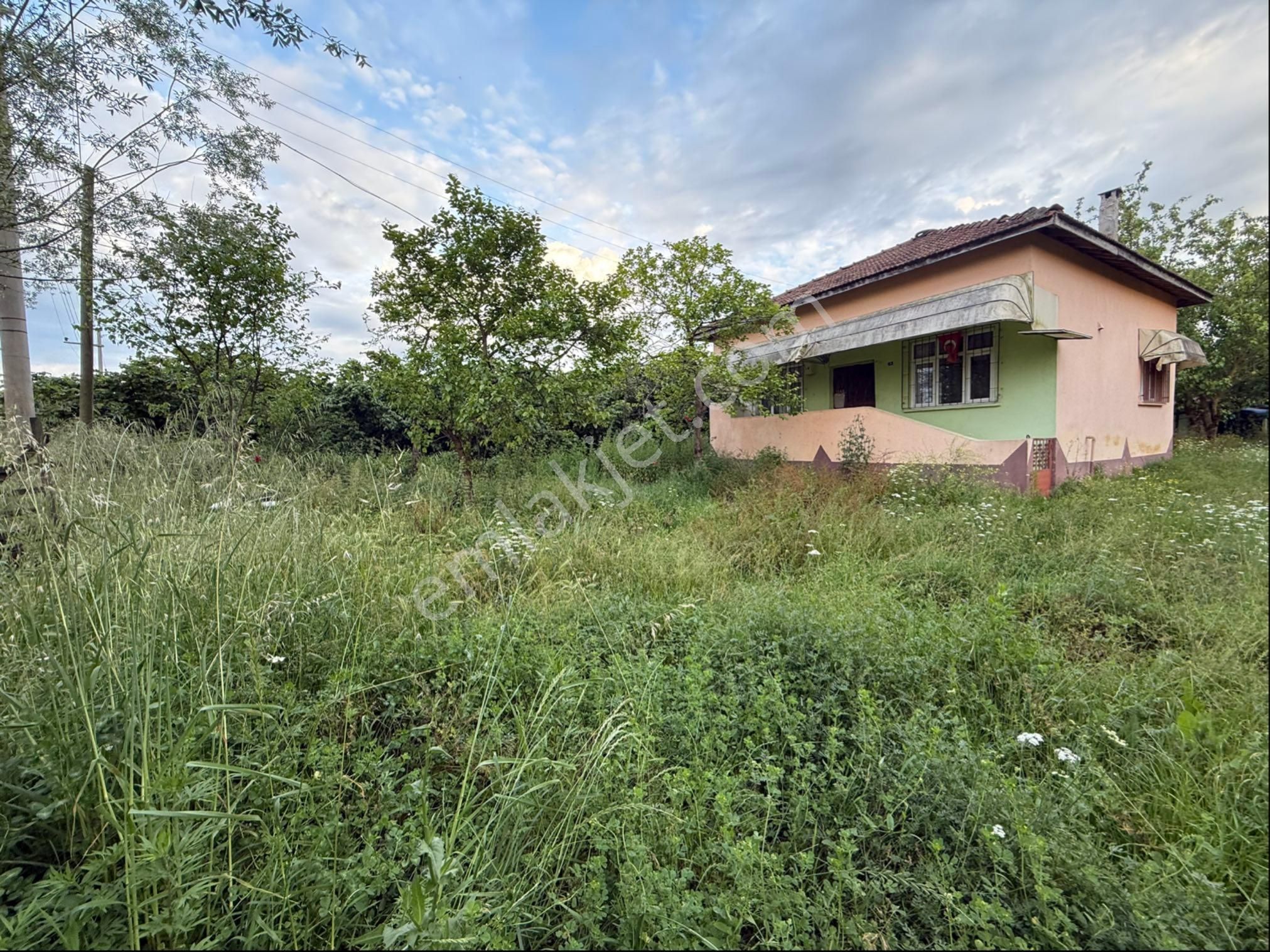 Alibey’den Terme Söğütlü Mah.de Satılık Fındık Bahçesi+ Ev - Görsel 7