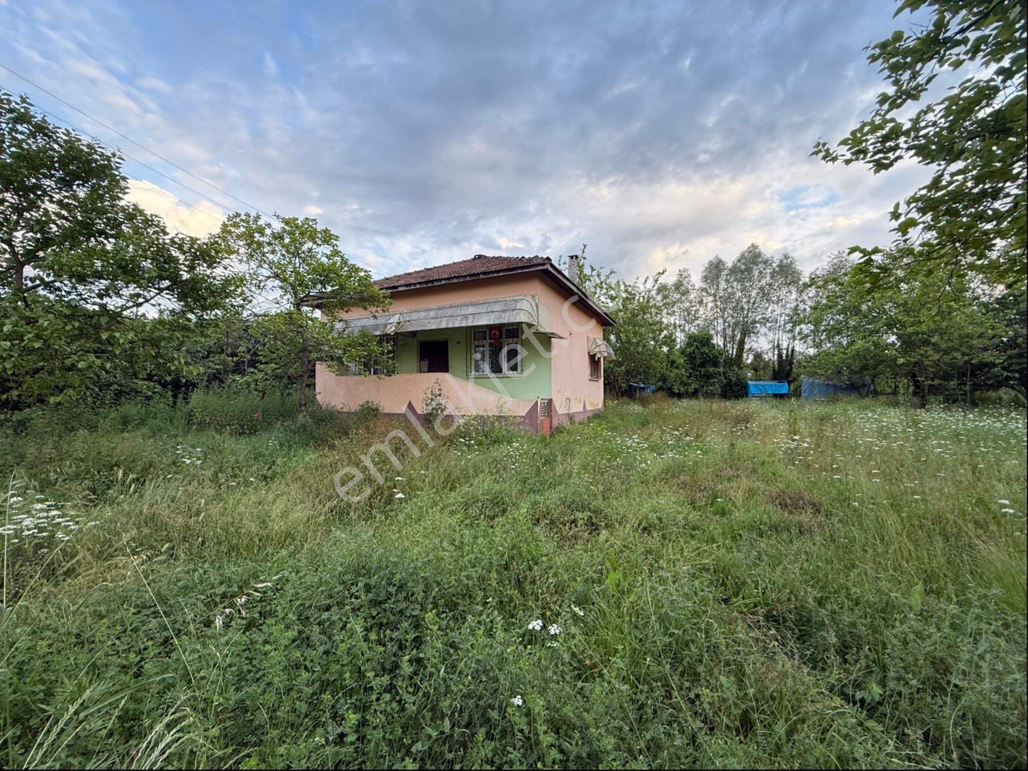 Alibey’den Terme Söğütlü Mah.de Satılık Fındık Bahçesi+ Ev - Görsel 8