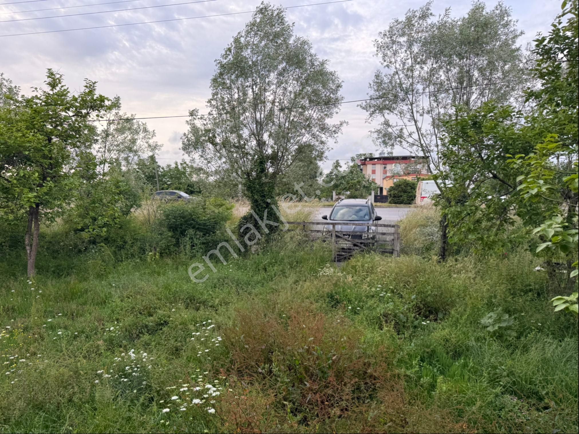 Alibey’den Terme Söğütlü Mah.de Satılık Fındık Bahçesi+ Ev - Görsel 20