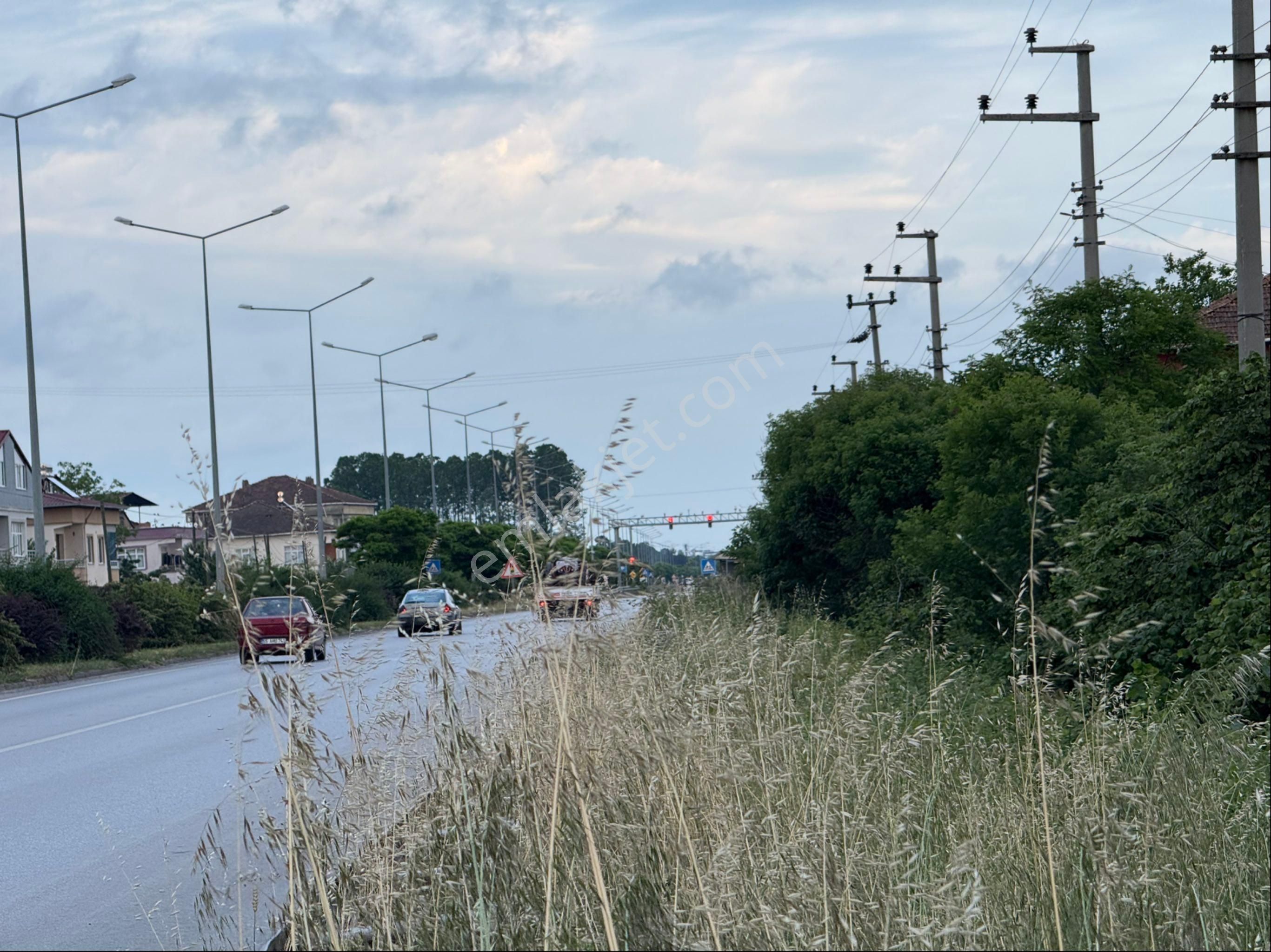 Alibey’den Terme Söğütlü Mah.de Satılık Fındık Bahçesi+ Ev - Görsel 4