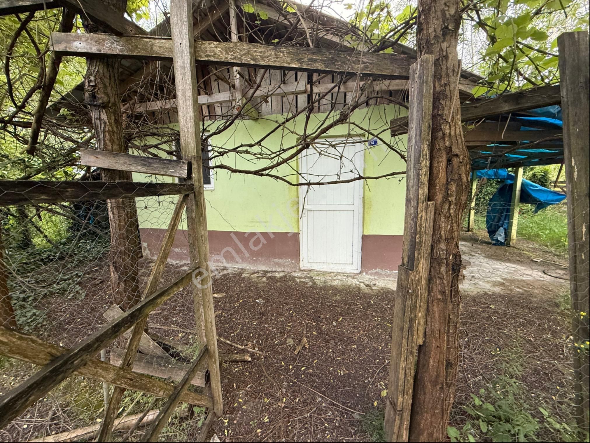 Alibey’den Terme Söğütlü Mah.de Satılık Fındık Bahçesi+ Ev - Görsel 26