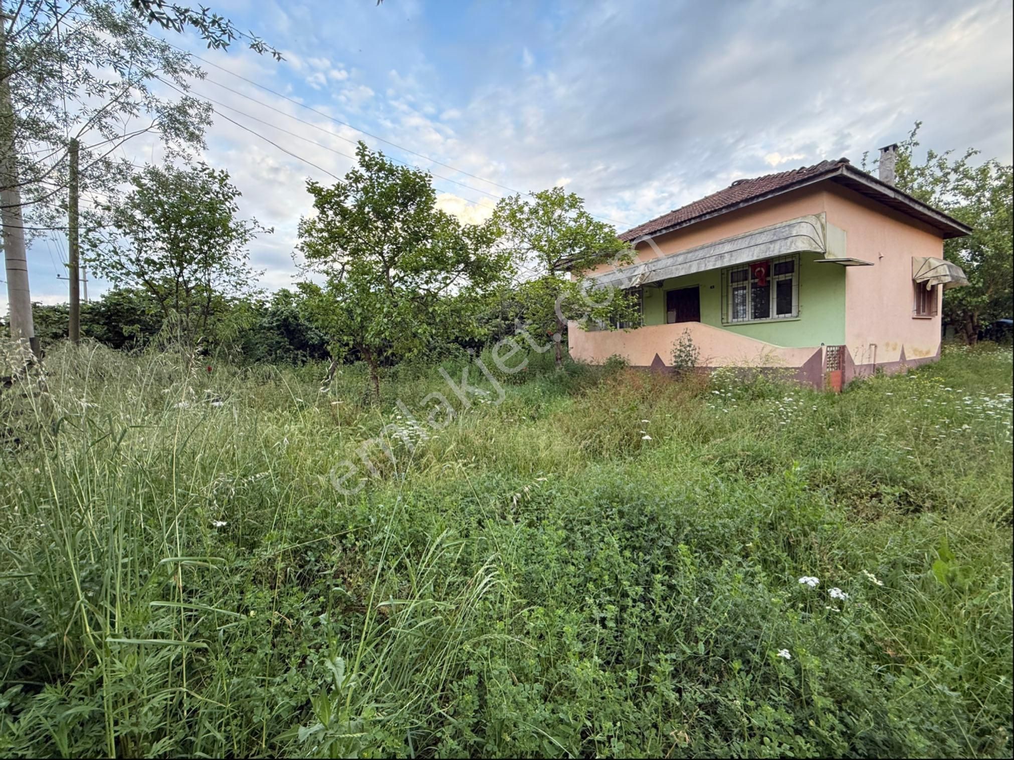 Alibey’den Terme Söğütlü Mah.de Satılık Fındık Bahçesi+ Ev - Görsel 2