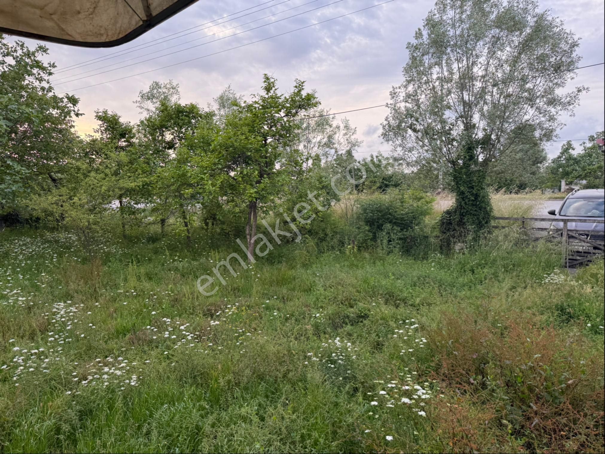 Alibey’den Terme Söğütlü Mah.de Satılık Fındık Bahçesi+ Ev - Görsel 21