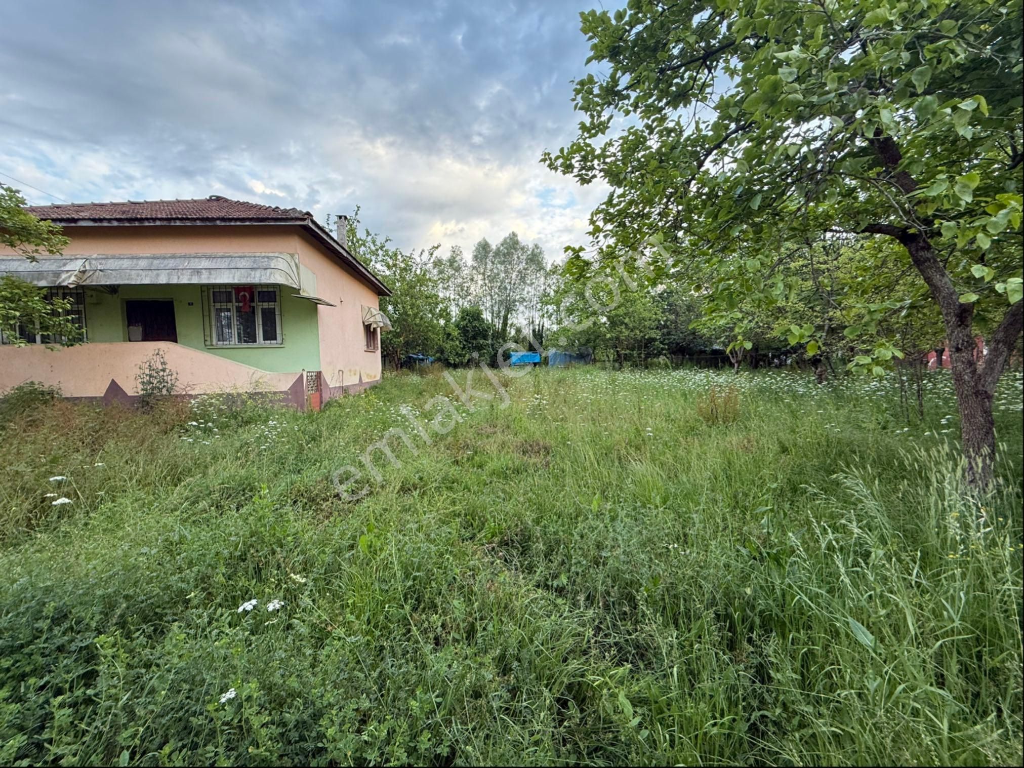 Alibey’den Terme Söğütlü Mah.de Satılık Fındık Bahçesi+ Ev - Görsel 10