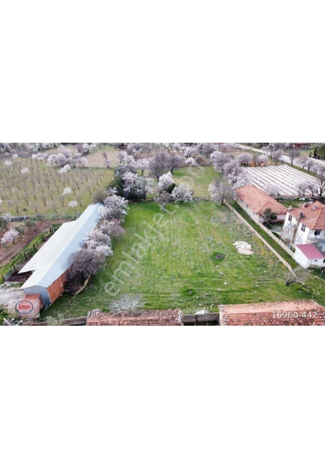 Egenin İncisi Denizli Tavas Merkez Uzunpınar (pınarlar Da)2000m2 İmarlı Arsa Yerleşim Yeri İçinde