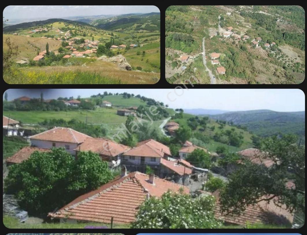 Kastamonu,sarıçeçiek Köyü