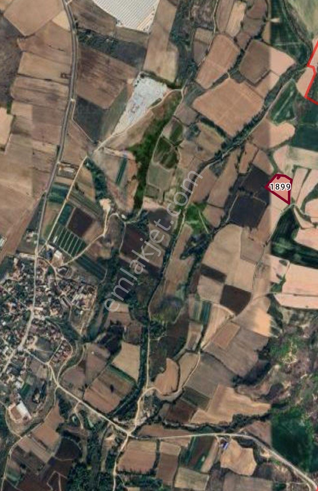 Kirklareli Merkez Asılbeyli 8 Dönüm Tarla Satılık - Görsel 4
