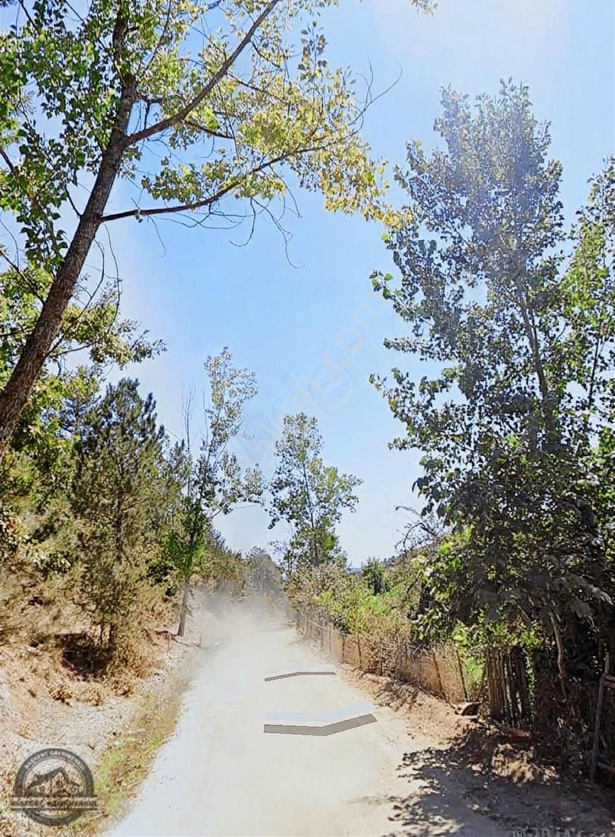 Doğa İle İç İçe Çanakkale Yenice Oğlanalanı Köyünde İmarlı Arsa