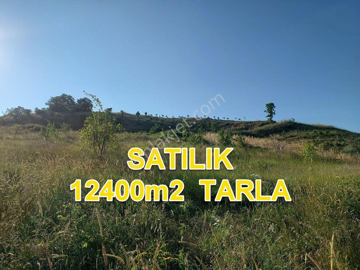 Bursa M.kemalpaşa Yalıntaşta Satılık İmarsınırına Yakın 12400m2 Tarla - Görsel 18
