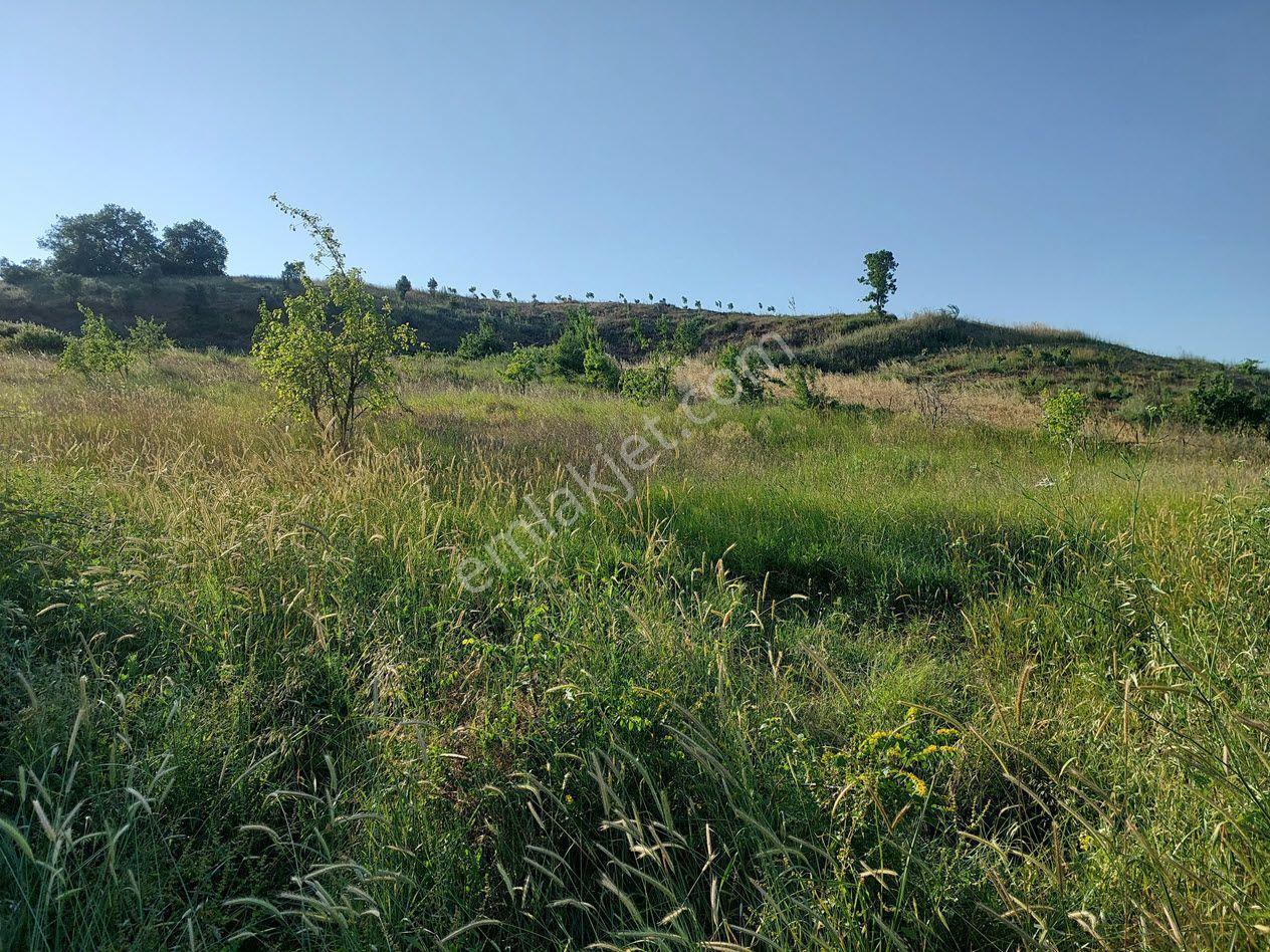 Bursa M.kemalpaşa Yalıntaşta Satılık İmarsınırına Yakın 12400m2 Tarla - Görsel 14