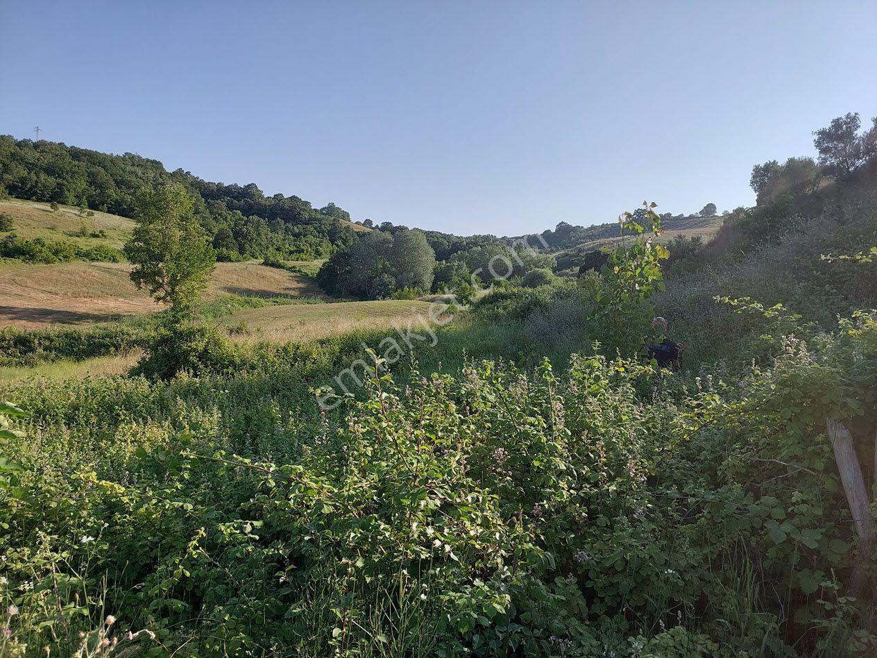 Bursa M.kemalpaşa Yalıntaşta Satılık İmarsınırına Yakın 12400m2 Tarla - Görsel 8