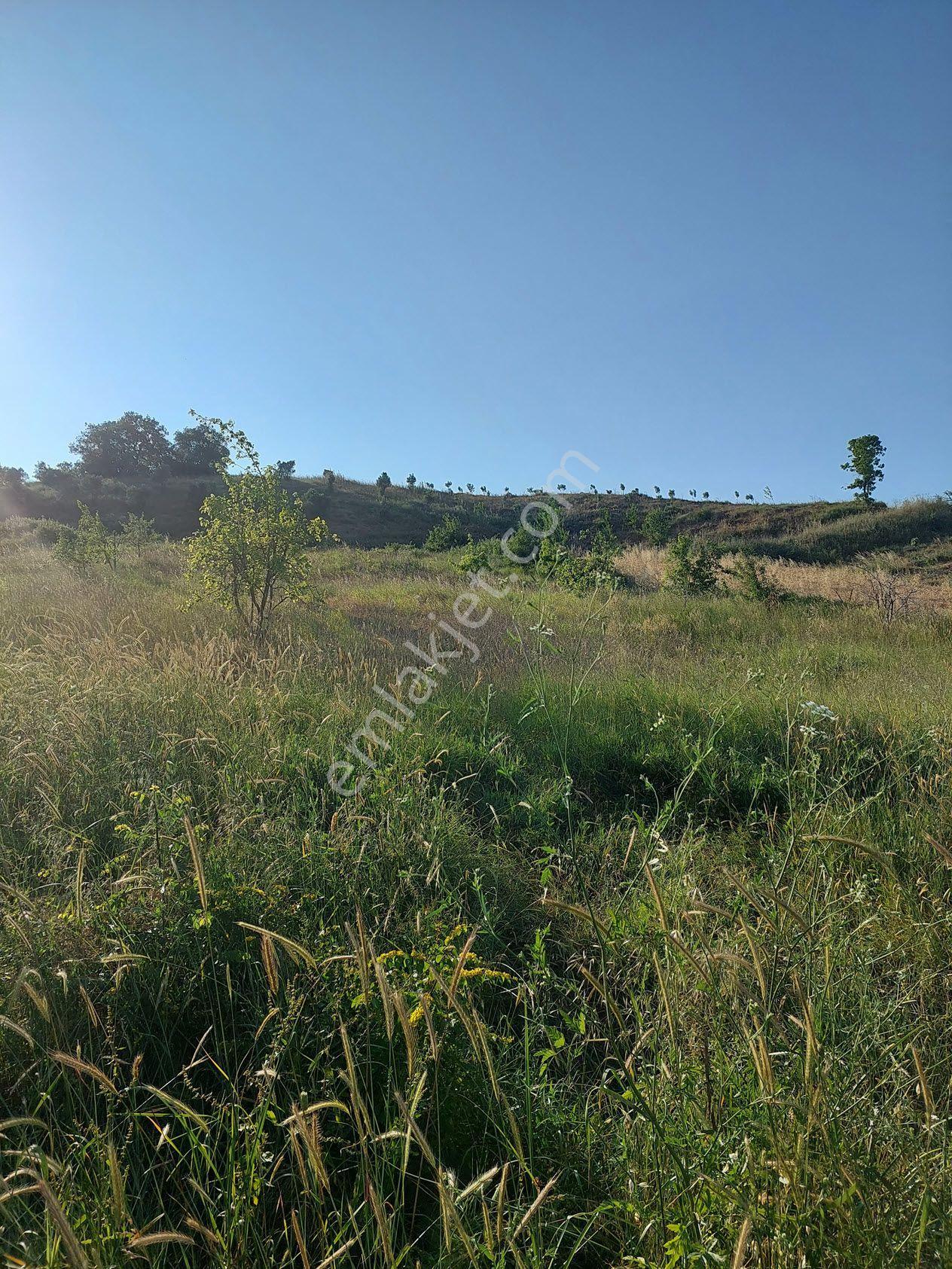 Bursa M.kemalpaşa Yalıntaşta Satılık İmarsınırına Yakın 12400m2 Tarla - Görsel 20