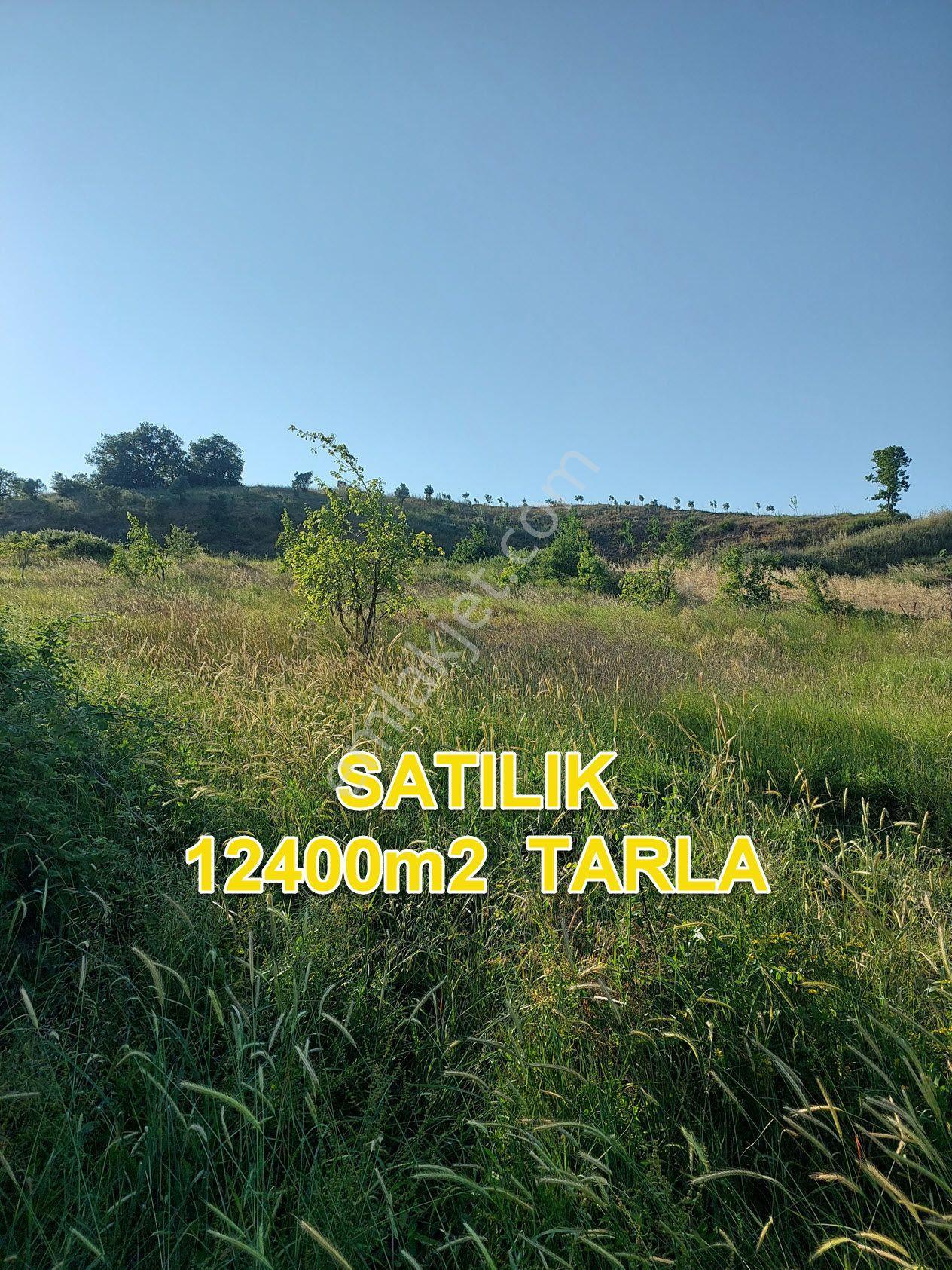 Bursa M.kemalpaşa Yalıntaşta Satılık İmarsınırına Yakın 12400m2 Tarla - Görsel 22
