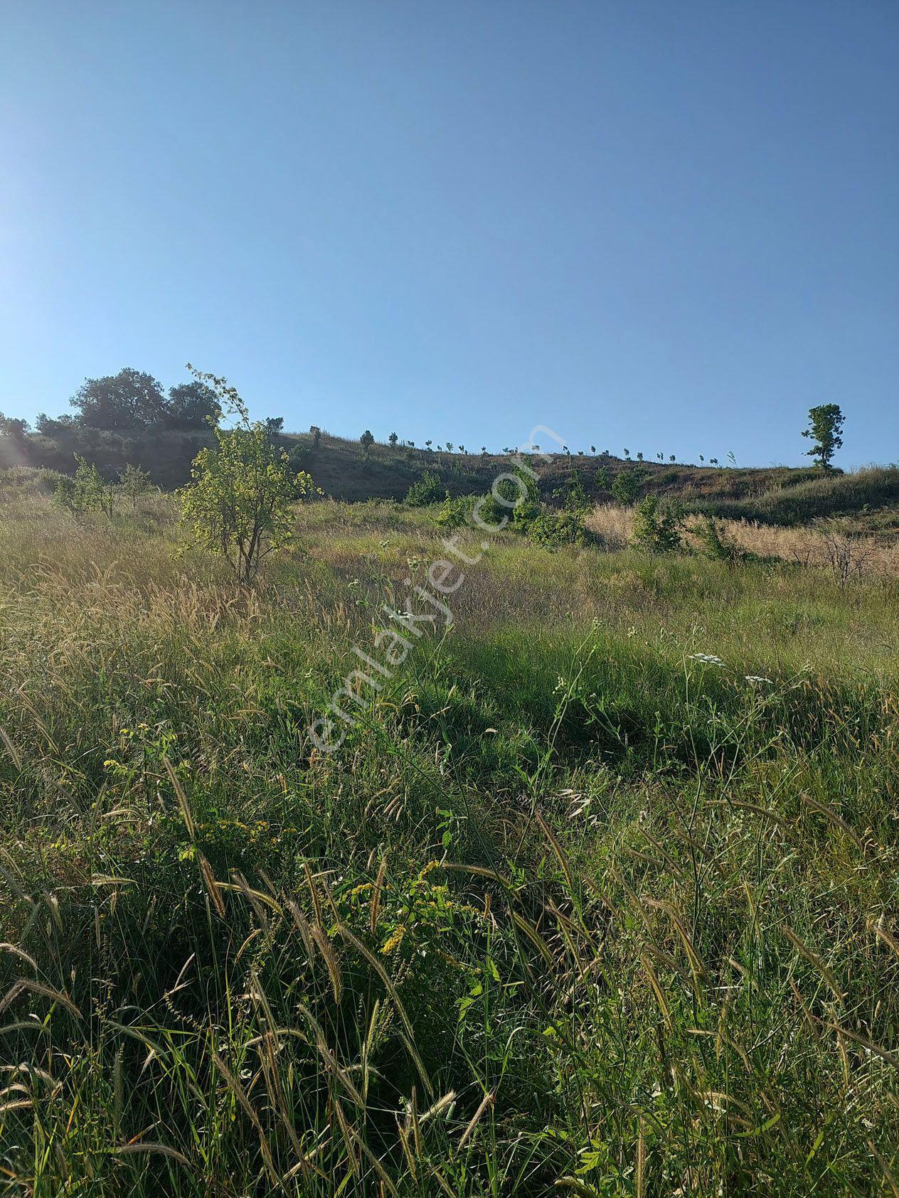 Bursa M.kemalpaşa Yalıntaşta Satılık İmarsınırına Yakın 12400m2 Tarla - Görsel 19