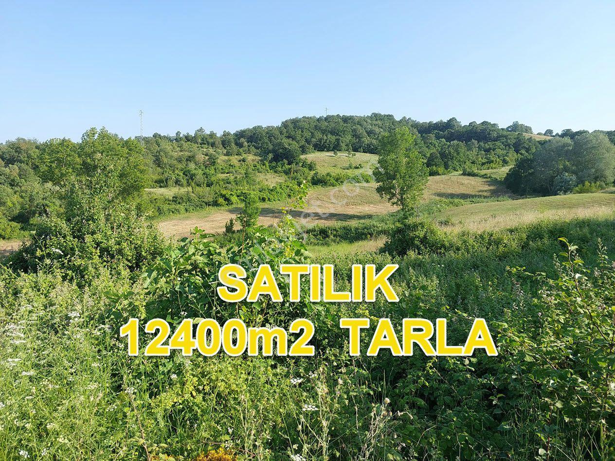 Bursa M.kemalpaşa Yalıntaşta Satılık İmarsınırına Yakın 12400m2 Tarla - Görsel 2