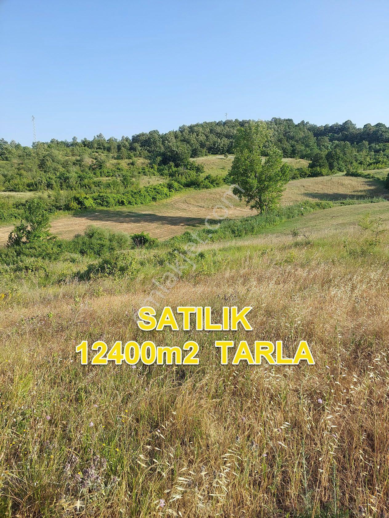 Bursa M.kemalpaşa Yalıntaşta Satılık İmarsınırına Yakın 12400m2 Tarla - Görsel 10