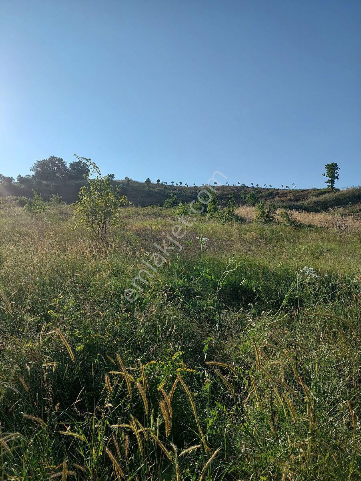 Bursa M.kemalpaşa Yalıntaşta Satılık İmarsınırına Yakın 12400m2 Tarla - Görsel 21