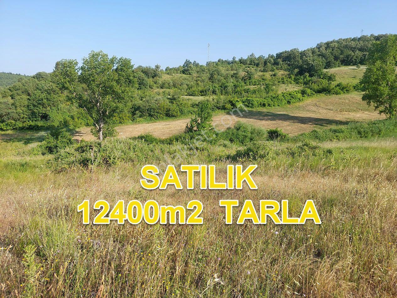 Bursa M.kemalpaşa Yalıntaşta Satılık İmarsınırına Yakın 12400m2 Tarla - Görsel 6
