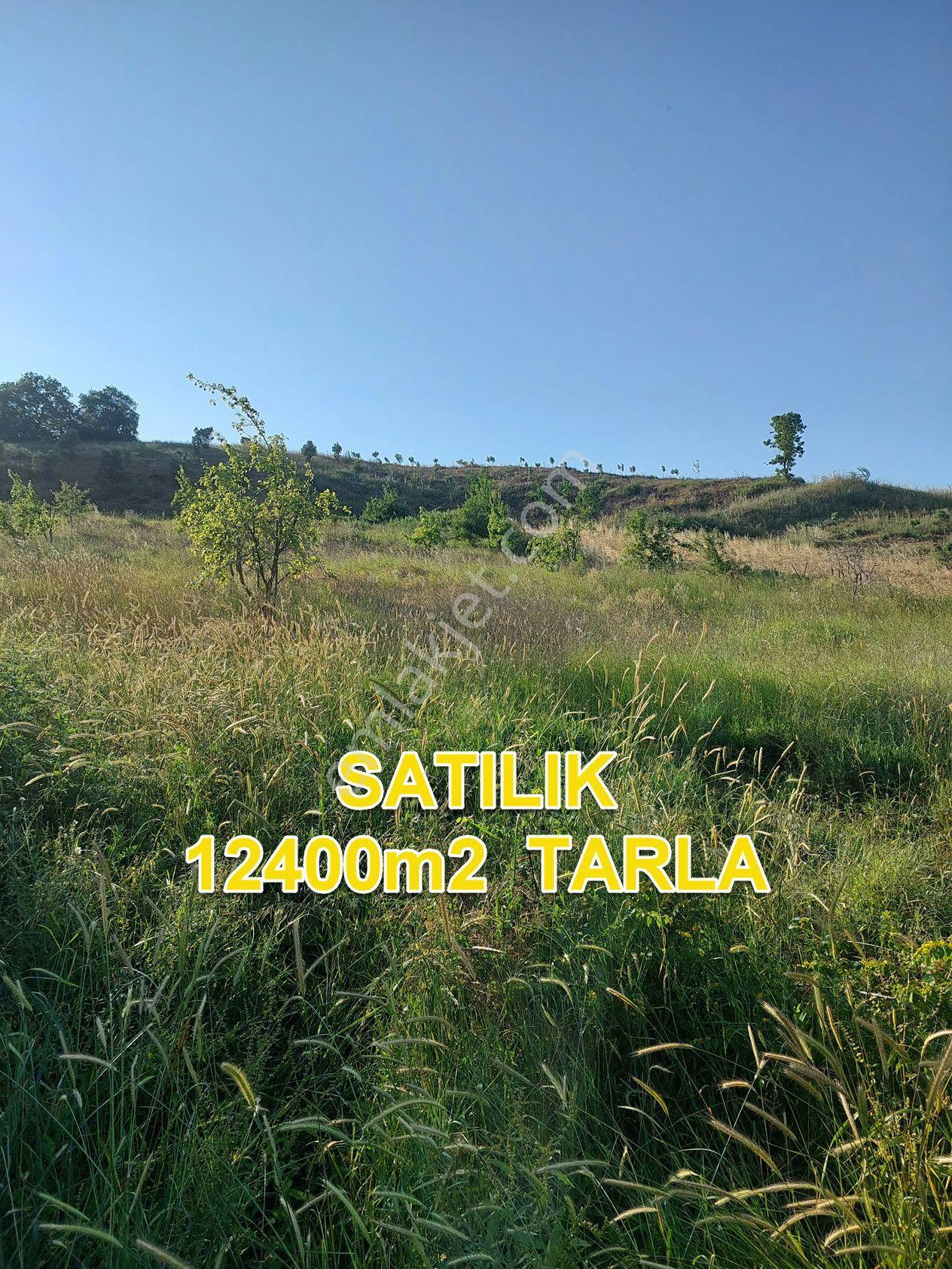 Bursa M.kemalpaşa Yalıntaşta Satılık İmarsınırına Yakın 12400m2 Tarla - Görsel 26