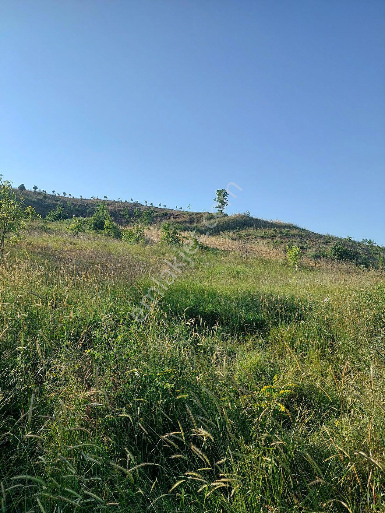 Bursa M.kemalpaşa Yalıntaşta Satılık İmarsınırına Yakın 12400m2 Tarla - Görsel 24