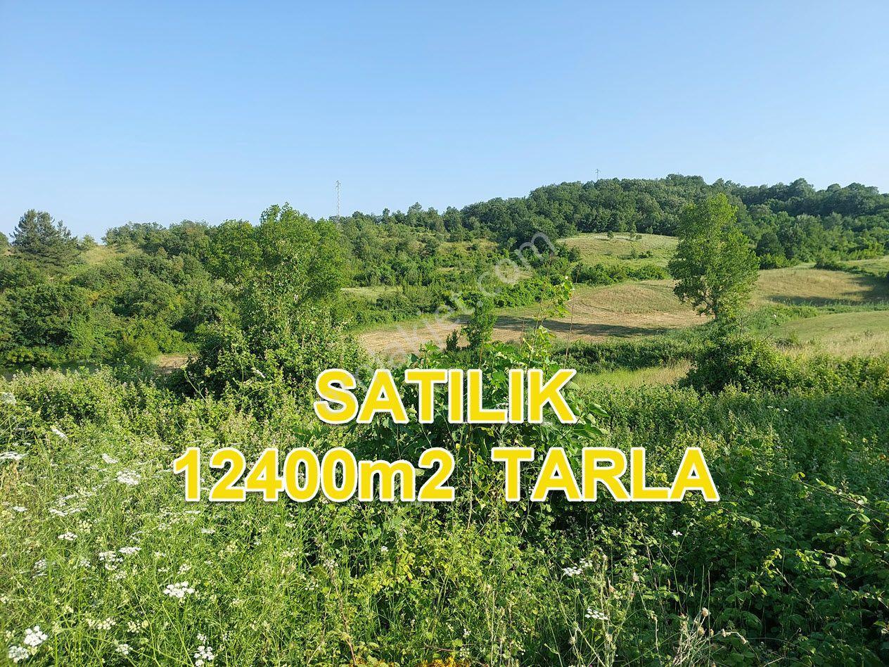 Bursa M.kemalpaşa Yalıntaşta Satılık İmarsınırına Yakın 12400m2 Tarla - Görsel 3