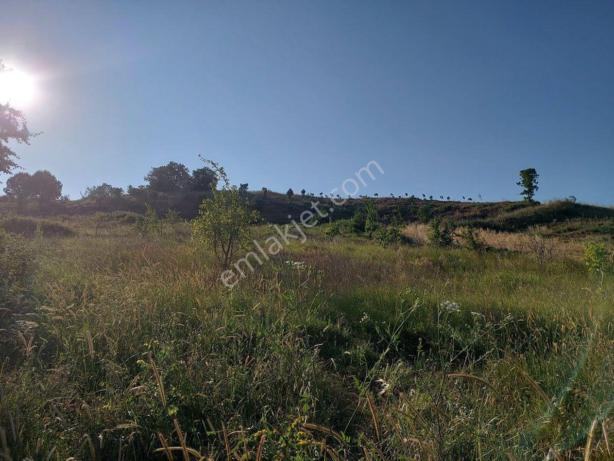 Bursa M.kemalpaşa Yalıntaşta Satılık İmarsınırına Yakın 12400m2 Tarla - Görsel 17