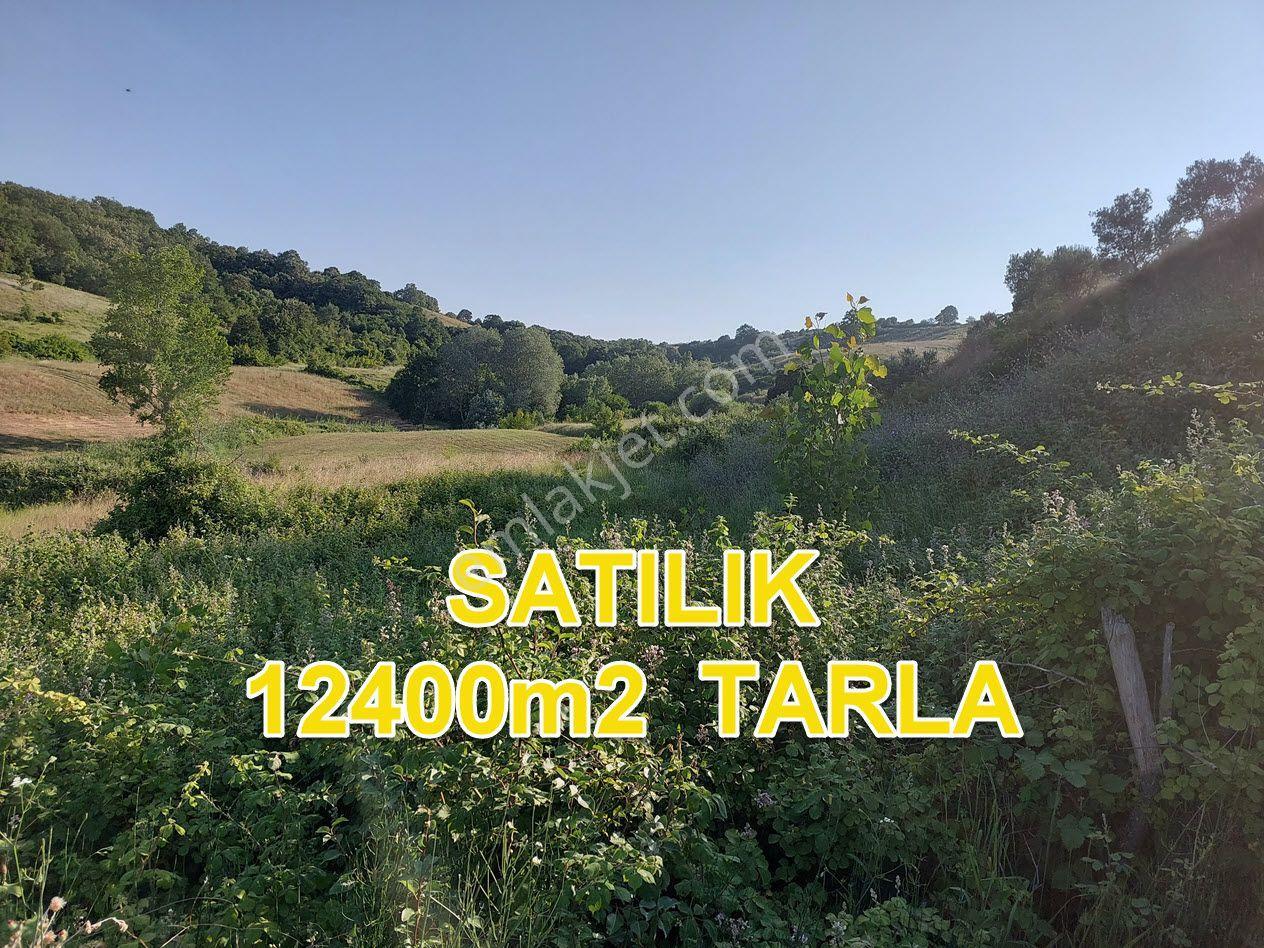 Bursa M.kemalpaşa Yalıntaşta Satılık İmarsınırına Yakın 12400m2 Tarla - Görsel 7
