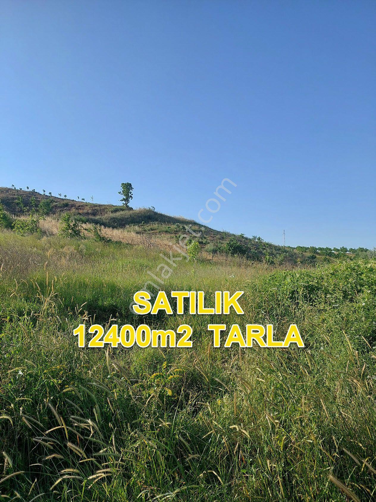 Bursa M.kemalpaşa Yalıntaşta Satılık İmarsınırına Yakın 12400m2 Tarla - Görsel 25