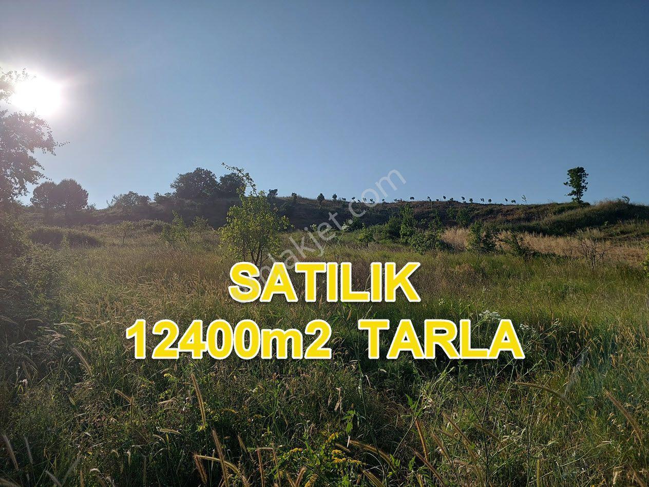 Bursa M.kemalpaşa Yalıntaşta Satılık İmarsınırına Yakın 12400m2 Tarla - Görsel 16