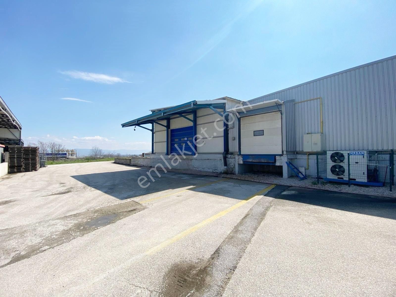 İnegöl Yenice Osb De Hamur İşleme Üretimi Ve Soğuk Hava Tesisi - Görsel 34