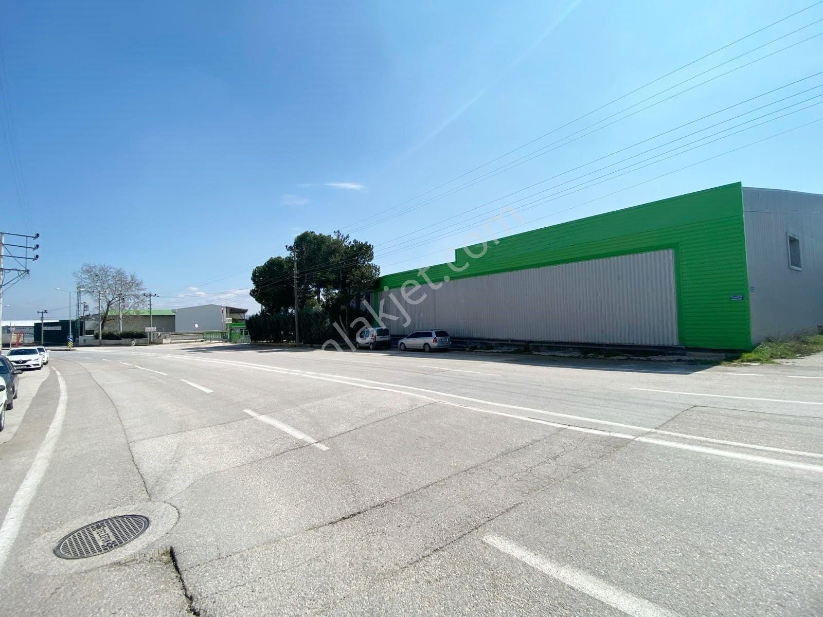 İnegöl Yenice Osb De Hamur İşleme Üretimi Ve Soğuk Hava Tesisi - Görsel 12