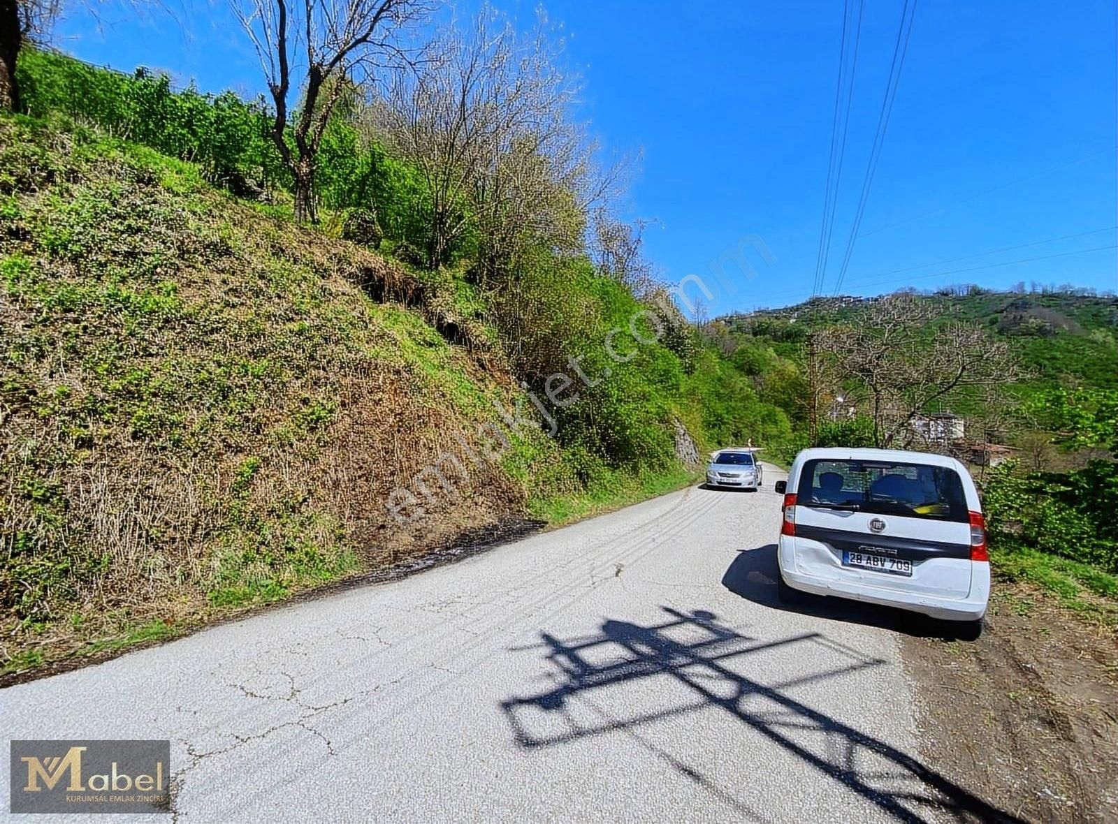 "acil Satılık" Fatsa Yalıköyde 437m² Yola Cepeheli Arsa