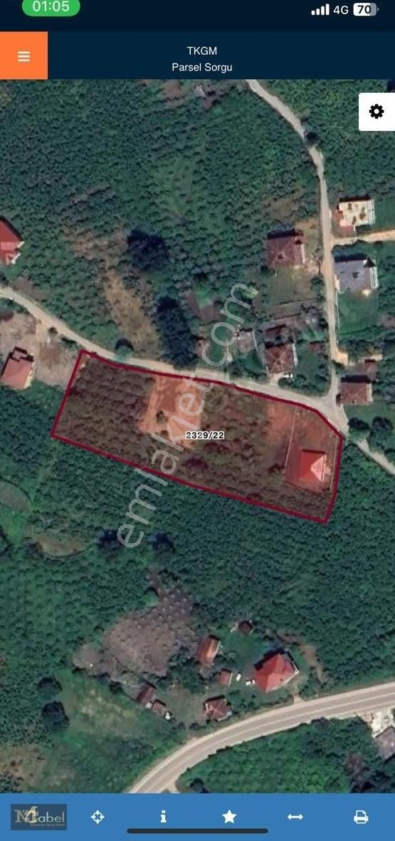 Mabel Gayrimenkul-aybastı Yolu Kenarına Yakın Kiralık Bahçe