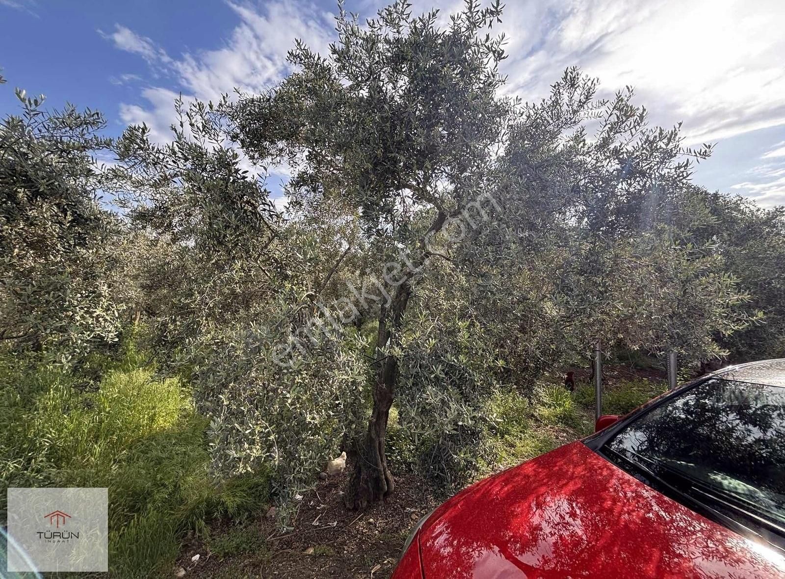 Fethiye Yanıklar Mahallesinde Yola Cephe 690 M2 Satılık Tarla