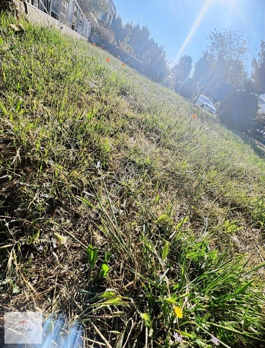 Fethiye Nif Mahallesi'nde Satılık Tarla