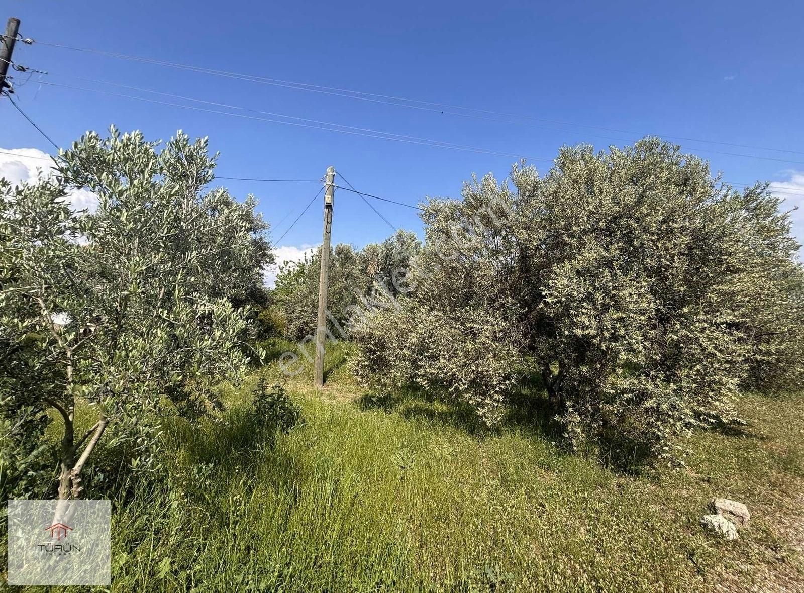 Fethiye Yanıklar Mahallesinde 470 M2 Satılık Tarla