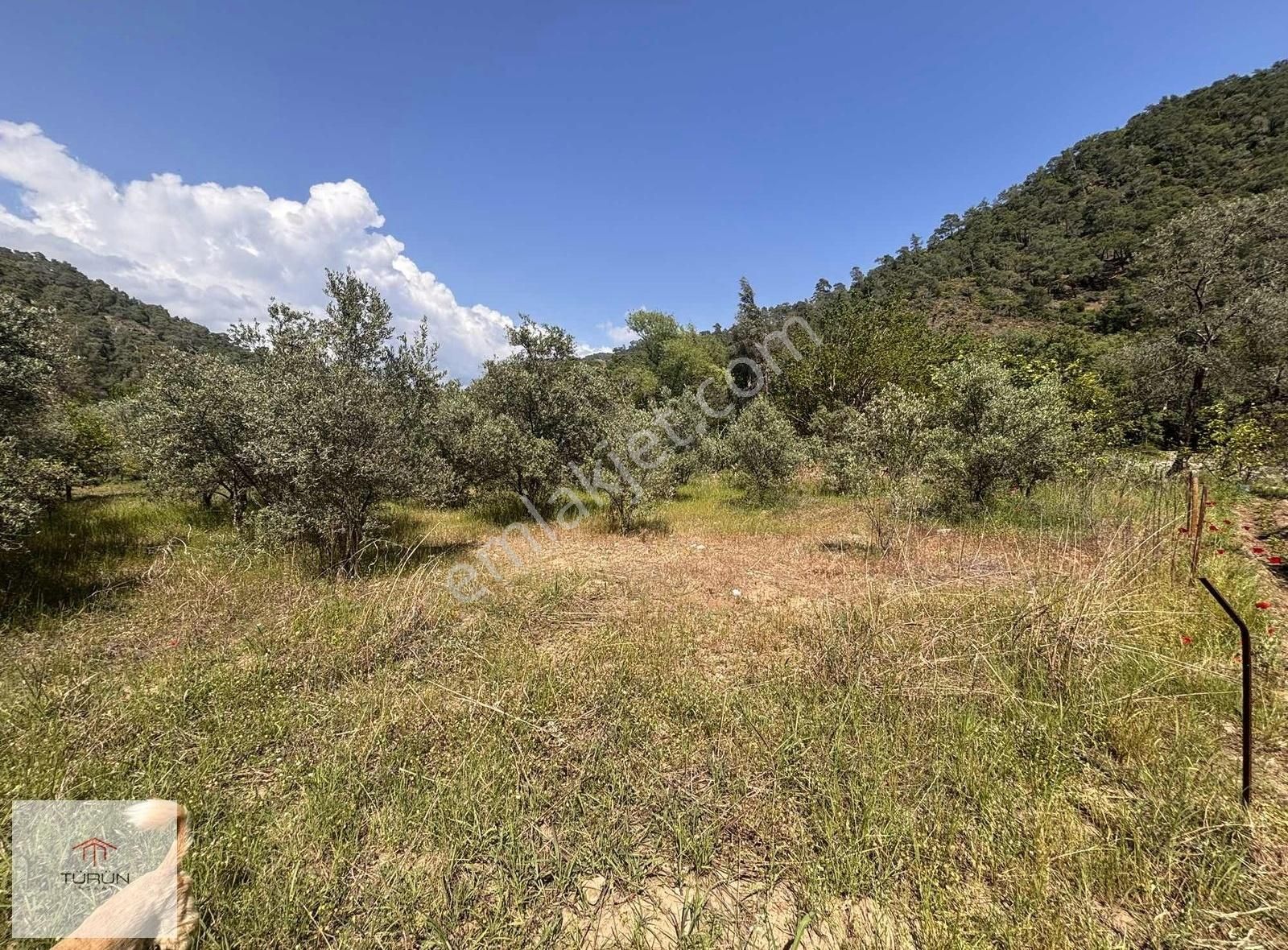 Fethiye Yanıklar Mahallesinde 1005 M2 Satılık Tarla
