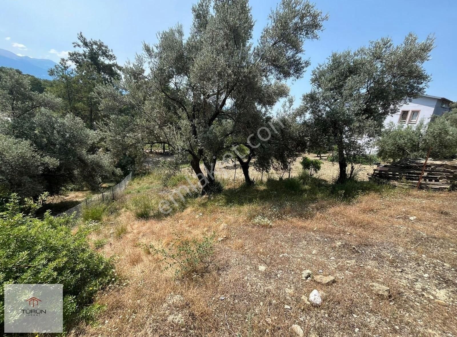 Seydikemer Geriş Burnu Hastane Yani Tarla